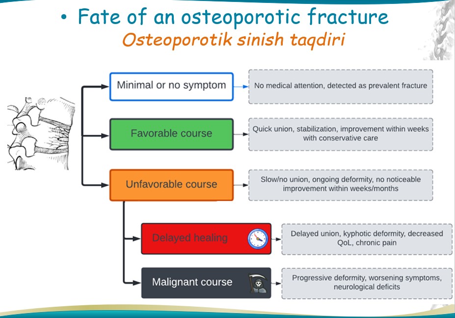 Fate-osteoporotic-fracture